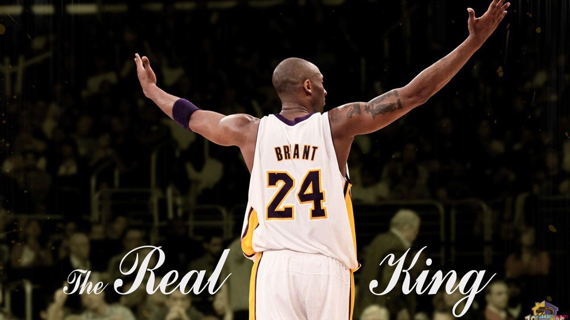 加拿大队未来规划:如何通过强化团队训练提升比赛稳定性